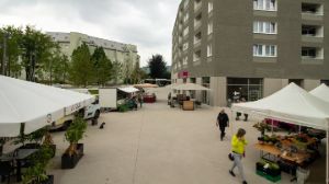 Markt Oed