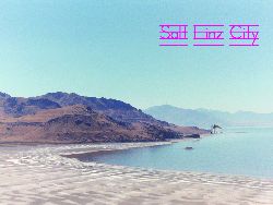 Salt City Linz