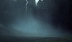 Rona1FogstrotStill