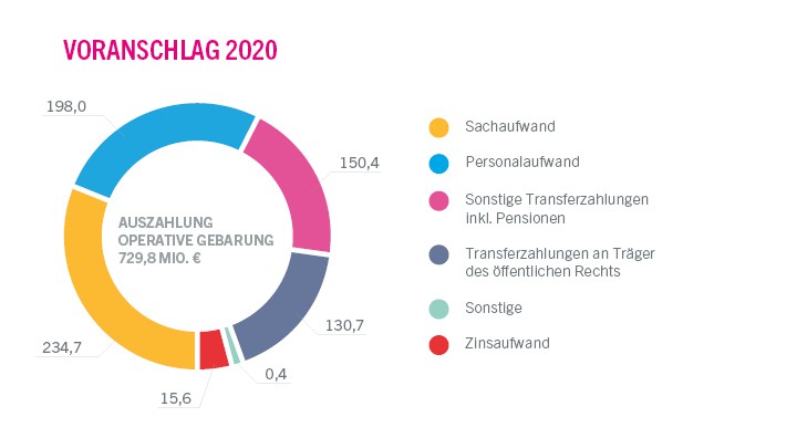Voranschlag 2020 - Auszahlungen der operativen Gebarung