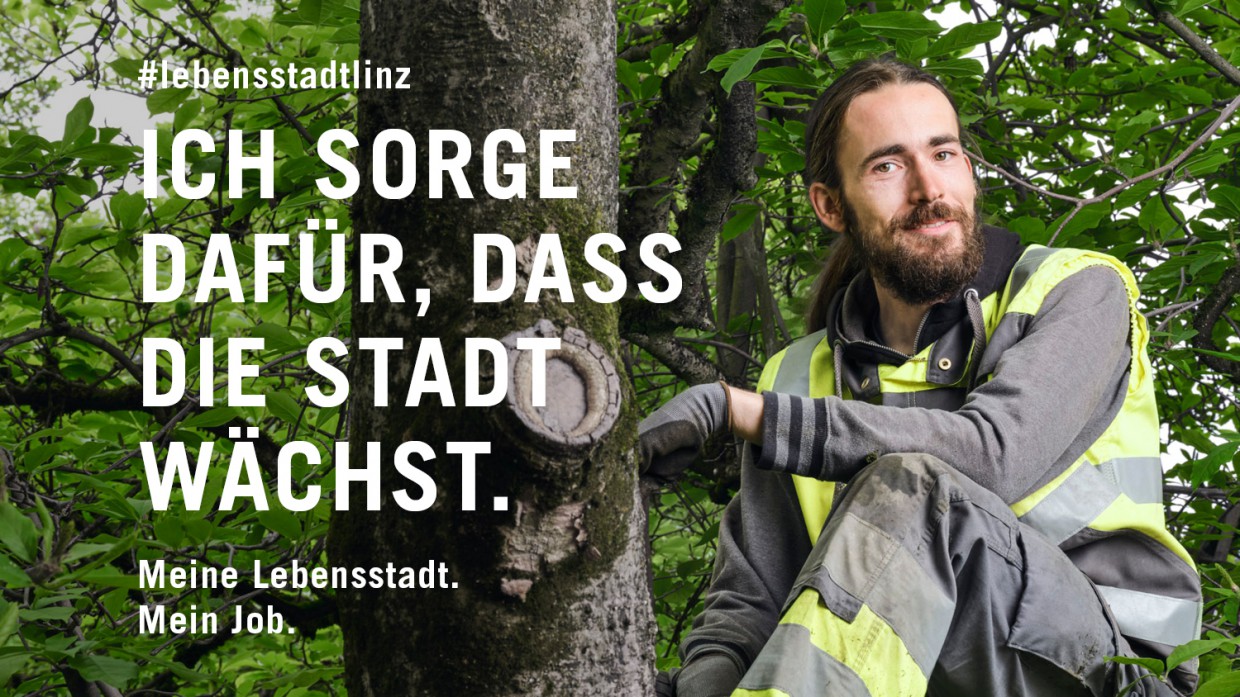 Foto: Robert Maybach Gärtner auf Baum - Slogan: 'Ich sorge dafür, dass die Stadt wächst'