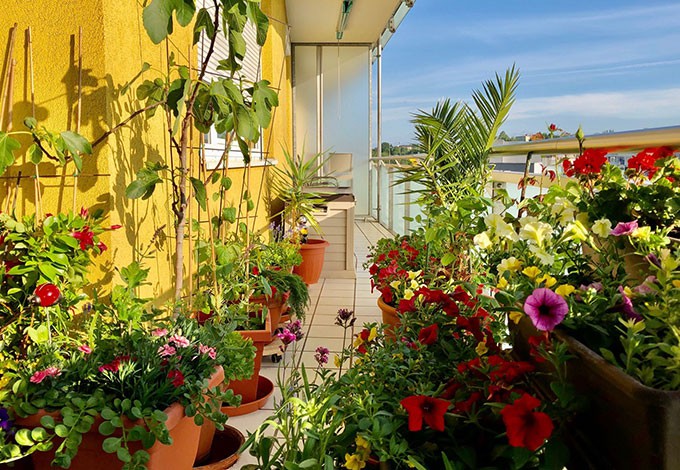 Gabriela Riss Balkon_Gabriela_Riss