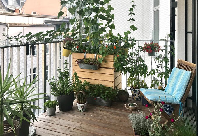 Klara Fischer Balkon_Klara_Fischer