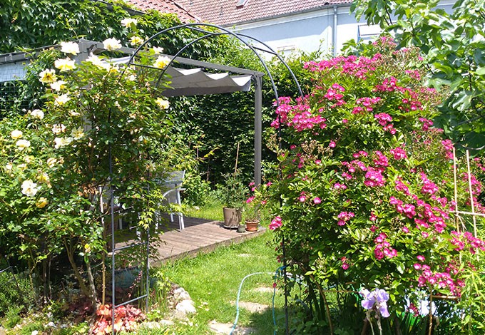 Katharina Forstinger Hausgarten Katharina Forstinger