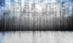 Fotografie von Gerlinde Miesenb&ouml;ck: Landschaften - Finnland, 2006-2008