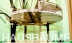 Sujet der Ausstellung: Modell eines Baumhauses